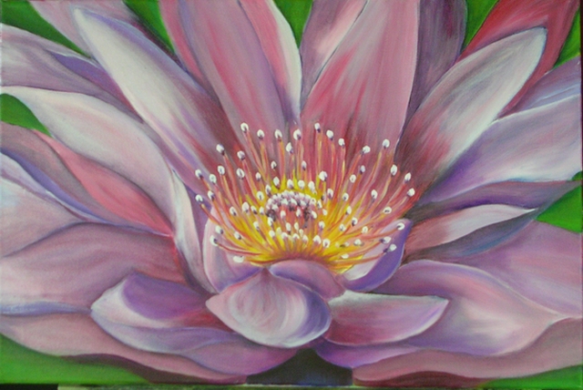 In Full Bloom  16" x 24" - Oil on canvas - Sold